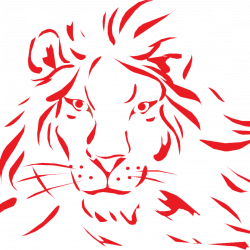 Articulos Innovadores Leo S.A. de C.V.